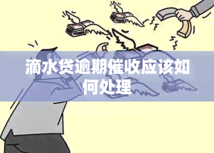 滴水贷逾期应该如何处理