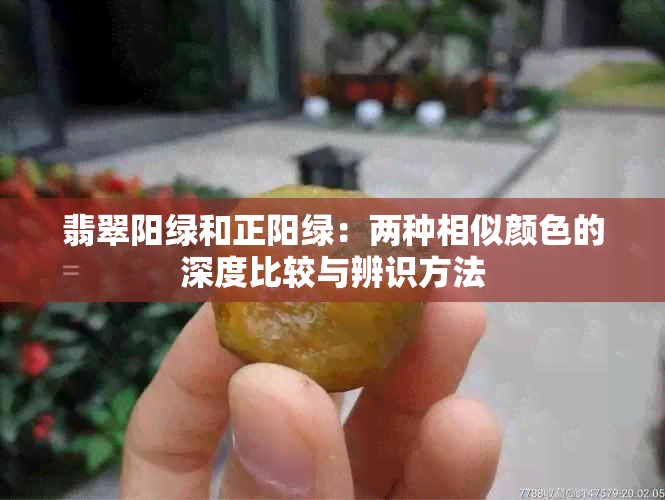 翡翠阳绿和正阳绿：两种相似颜色的深度比较与辨识方法