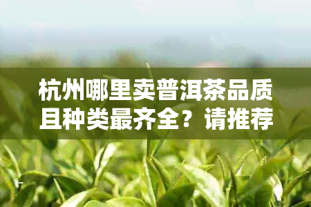 杭州哪里卖普洱茶品质且种类最齐全？请推荐！