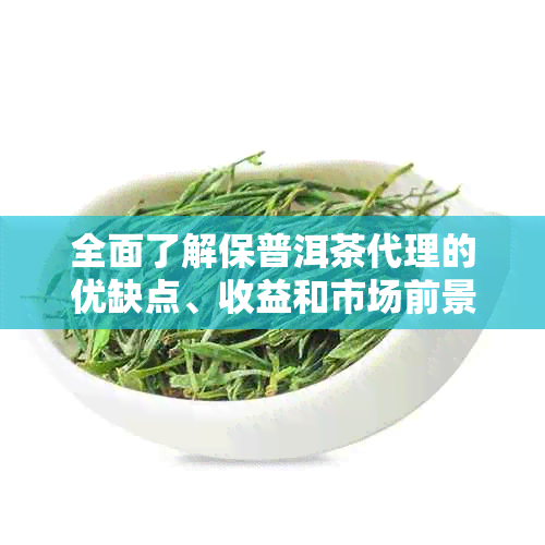 全面了解保普洱茶代理的优缺点、收益和市场前景，助您做出明智选择