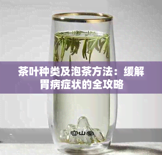 茶叶种类及泡茶方法：缓解胃病症状的全攻略