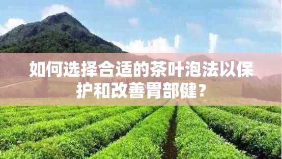 如何选择合适的茶叶泡法以保护和改善胃部健？