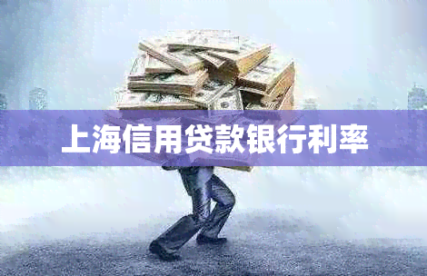 上海信用贷款银行利率