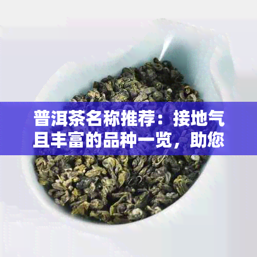 普洱茶名称推荐：接地气且丰富的品种一览，助您轻松挑选理想茶叶