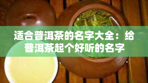 适合普洱茶的名字大全：给普洱茶起个好听的名字