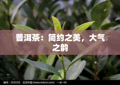 普洱茶：简约之美，大气之韵