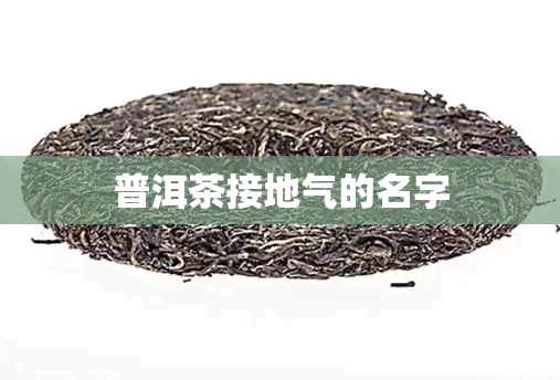 普洱茶接地气的名字