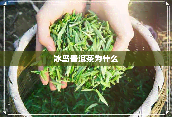 冰岛普洱茶为什么