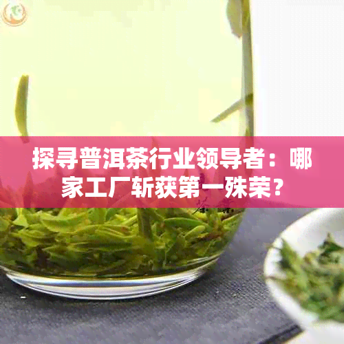 探寻普洱茶行业领导者：哪家工厂斩获之一殊荣？