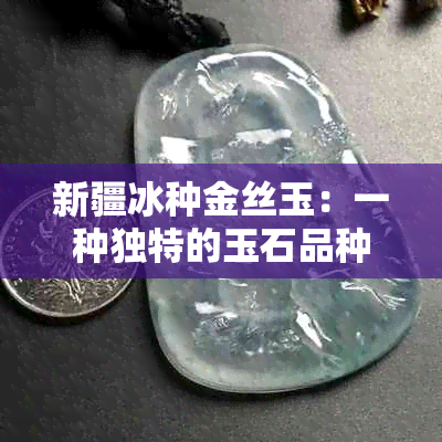 新疆冰种金丝玉：一种独特的玉石品种，鉴赏与购买指南