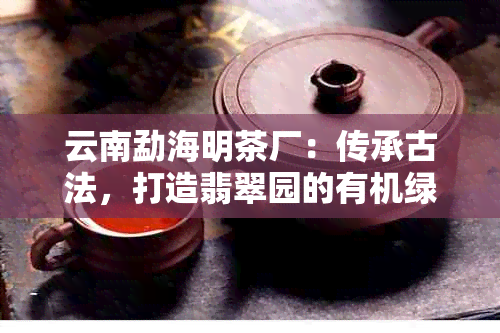 云南勐海明茶厂：传承古法，打造翡翠园的有机绿茶领导者