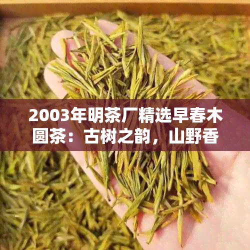 2003年明茶厂精选早春木圆茶：古树之韵，山野香气的独特呈现