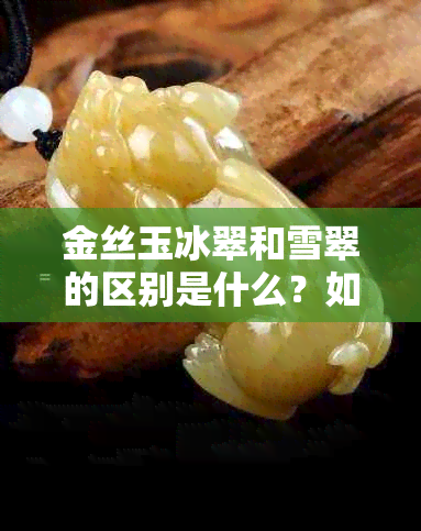 金丝玉冰翠和雪翠的区别是什么？如何区分这两种宝石？请分享您的见解。