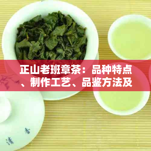 正山老班章茶：品种特点、制作工艺、品鉴方法及适合的饮用场景全面解析