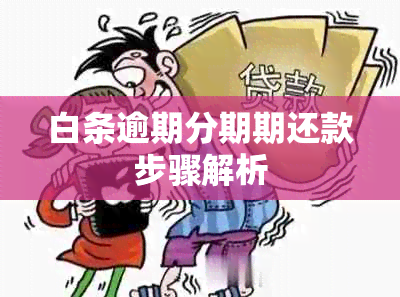 白条逾期分期期还款步骤解析