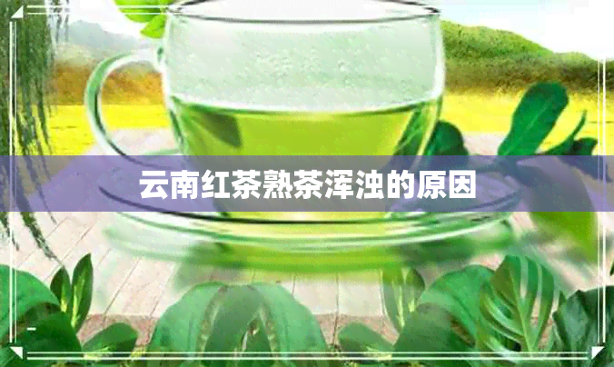 云南红茶熟茶浑浊的原因