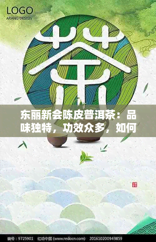 东丽新会陈皮普洱茶：品味独特，功效众多，如何选择与冲泡的全面指南