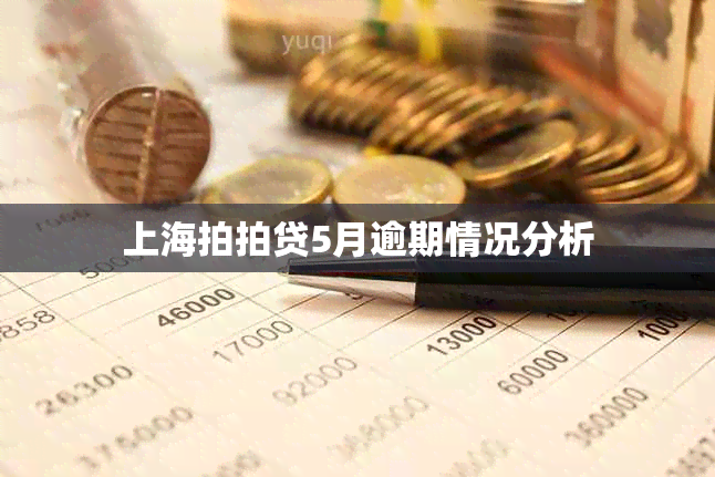 上海拍拍贷5月逾期情况分析