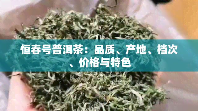 恒春号普洱茶：品质、产地、档次、价格与特色