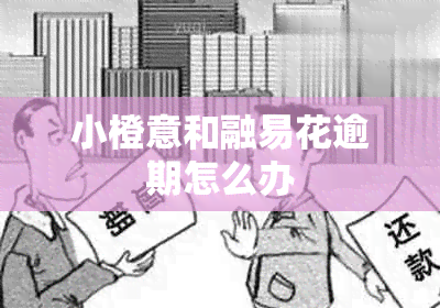 小橙意和融易花逾期怎么办