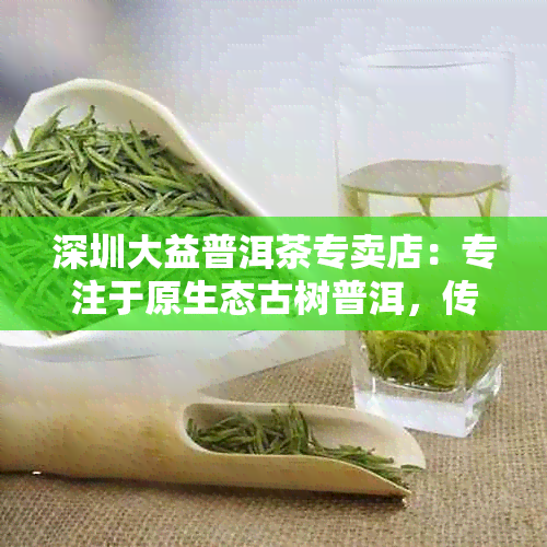 深圳大益普洱茶专卖店：专注于原生态古树普洱，传承百年工艺与文化