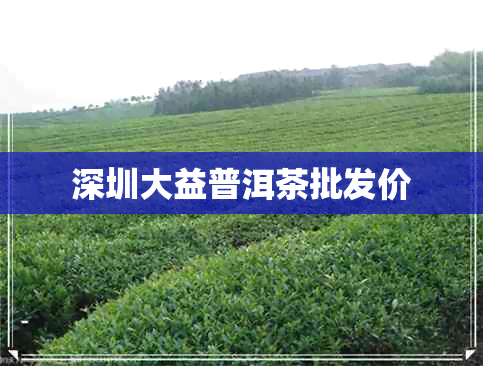 深圳大益普洱茶批发价