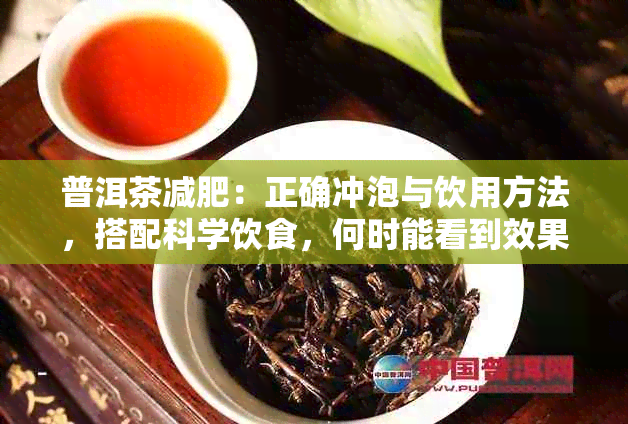 普洱茶减肥：正确冲泡与饮用方法，搭配科学饮食，何时能看到效果？