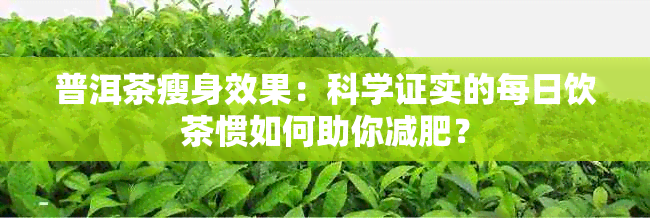 普洱茶瘦身效果：科学证实的每日饮茶惯如何助你减肥？