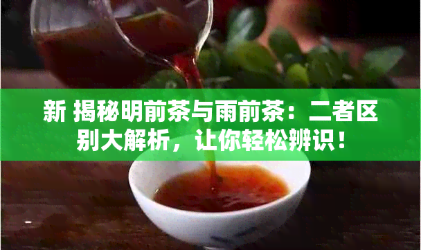 新 揭秘明前茶与雨前茶：二者区别大解析，让你轻松辨识！