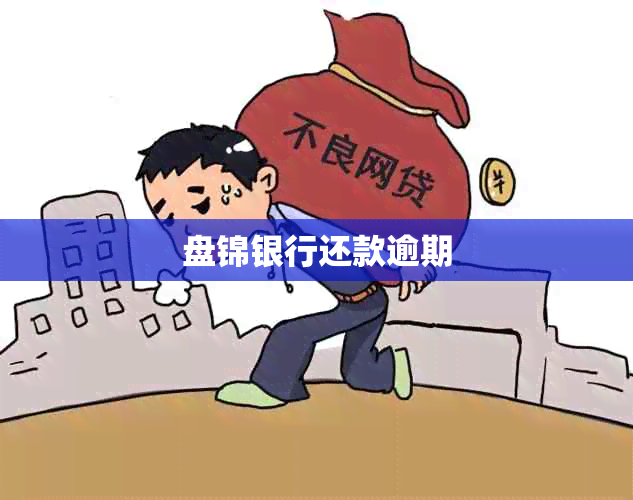 盘锦银行还款逾期