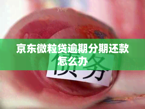 京东微粒贷逾期分期还款怎么办