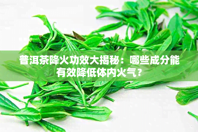 普洱茶降火功效大揭秘：哪些成分能有效降低体内火气？