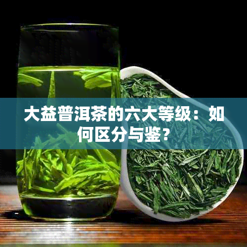 大益普洱茶的六大等级：如何区分与鉴？