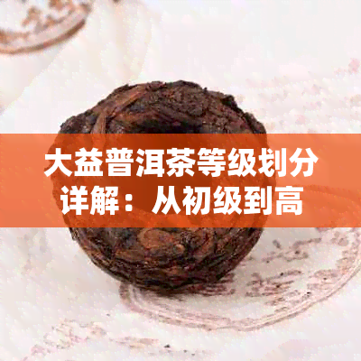 大益普洱茶等级划分详解：从初级到高级，了解各类茶叶的特点和价值