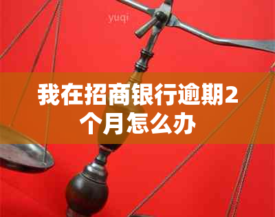 我在招商银行逾期2个月怎么办