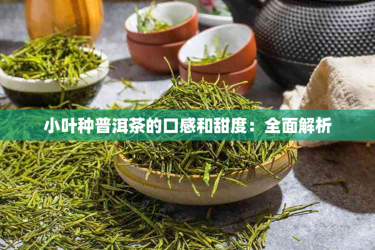 小叶种普洱茶的口感和甜度：全面解析