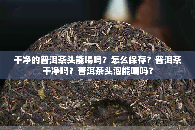 干净的普洱茶头能喝吗？怎么保存？普洱茶干净吗？普洱茶头泡能喝吗？