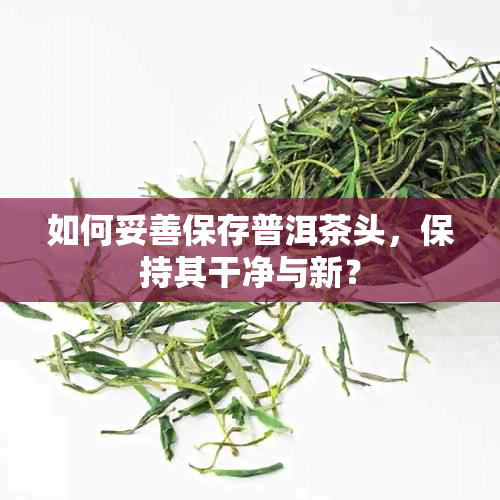 如何妥善保存普洱茶头，保持其干净与新？