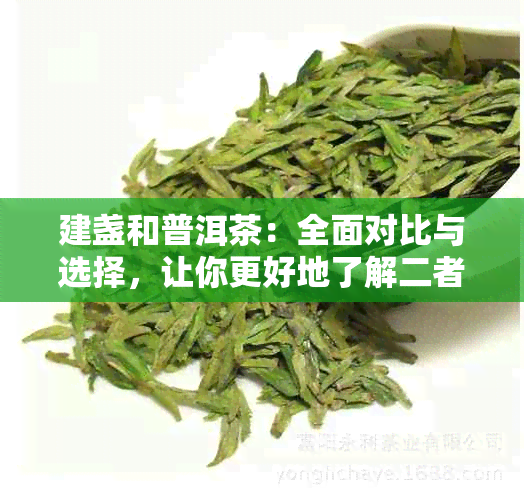 建盏和普洱茶：全面对比与选择，让你更好地了解二者特点与适用场景