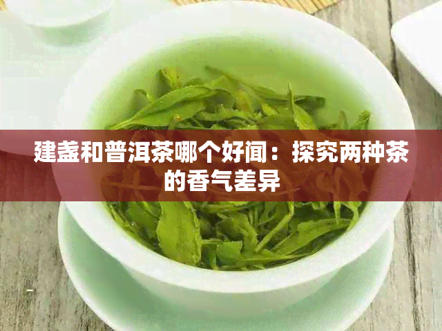 建盏和普洱茶哪个好闻：探究两种茶的香气差异