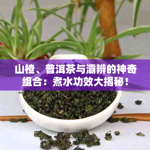 山楂、普洱茶与灞辨的神奇组合：煮水功效大揭秘！