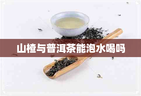 山楂与普洱茶能泡水喝吗