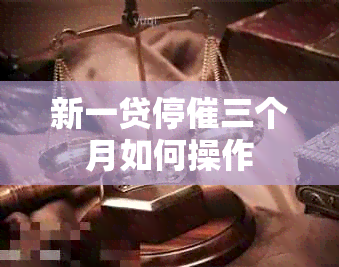 新一贷停催三个月如何操作