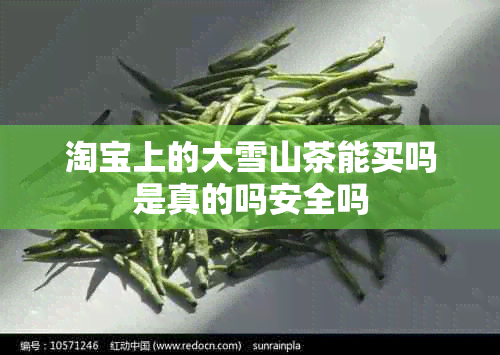 淘宝上的大雪山茶能买吗是真的吗安全吗