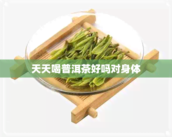 天天喝普洱茶好吗对身体