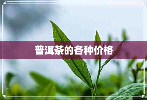 普洱茶的各种价格