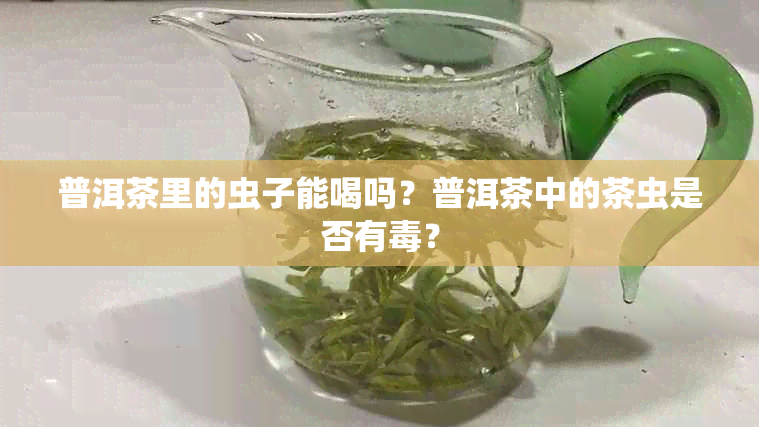 普洱茶里的虫子能喝吗？普洱茶中的茶虫是否有？