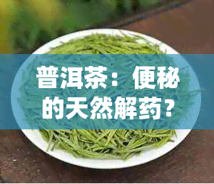 普洱茶：便秘的天然解？科学解析其对消化系统的影响