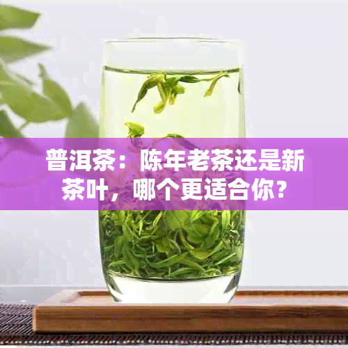 普洱茶：陈年老茶还是新茶叶，哪个更适合你？