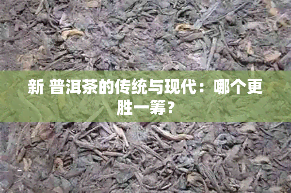 新 普洱茶的传统与现代：哪个更胜一筹？